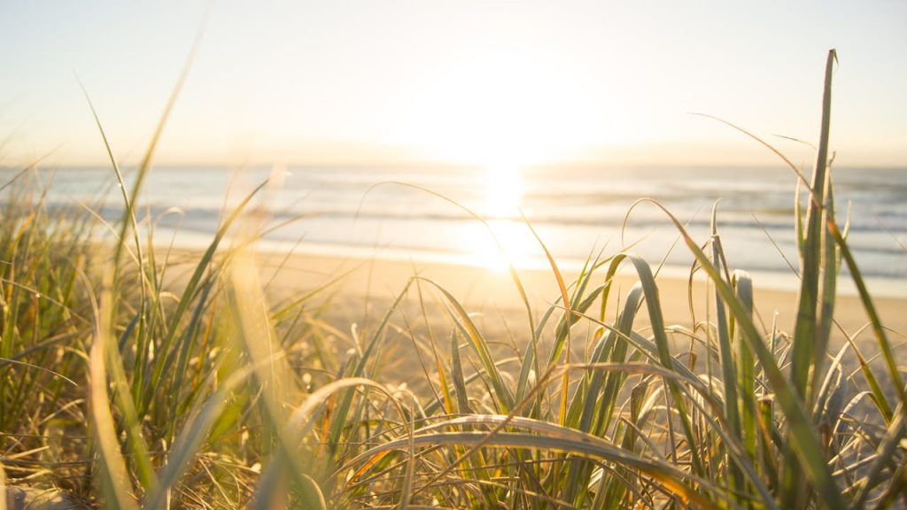 Frequently Asked Questions at Love counselling therapy
